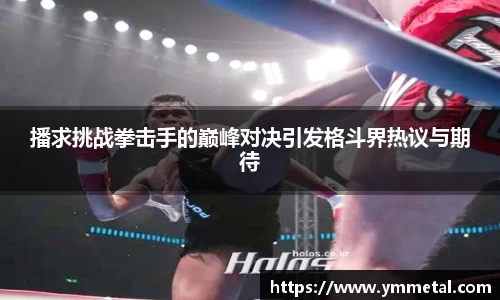 播求挑战拳击手的巅峰对决引发格斗界热议与期待